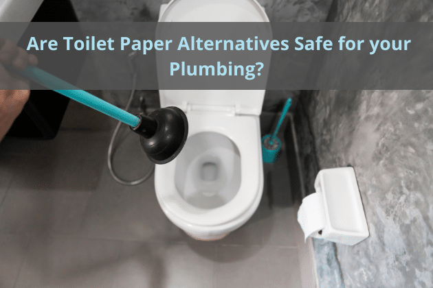 Toilet paper alternatives
