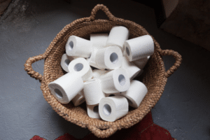 toilet paper alternatives