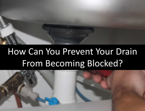 Guide To Blocked Drains: Causes, Remedies and Prevention